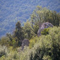 Photo de france - La randonnée du moulin de Ribaute